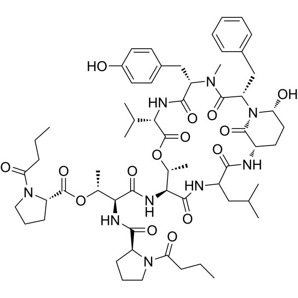 Rivulariapeptolides 1185 Structure